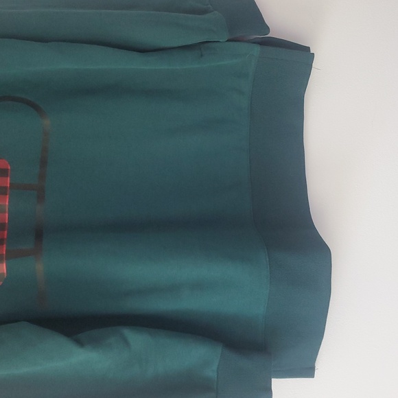 Teddi Rose Green Holiday Sweatshirt With Sleigh Design Sz M Festive Christmas - Picture 3 of 10